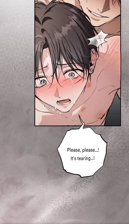 Chapter 12 — page 19