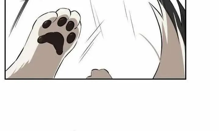 Chapter 4 — page 21