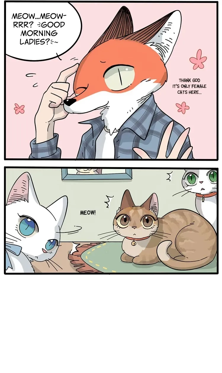 Chapter 14 — page 4