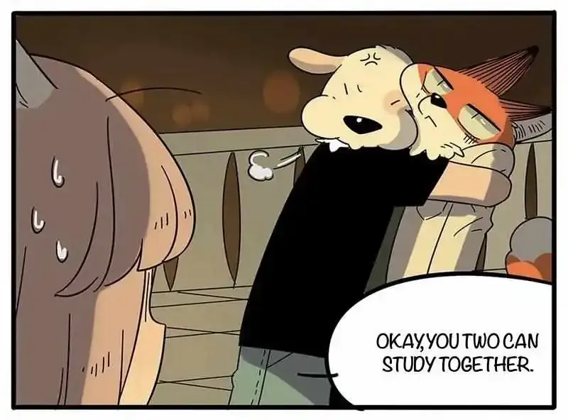 Chapter 22 — page 19