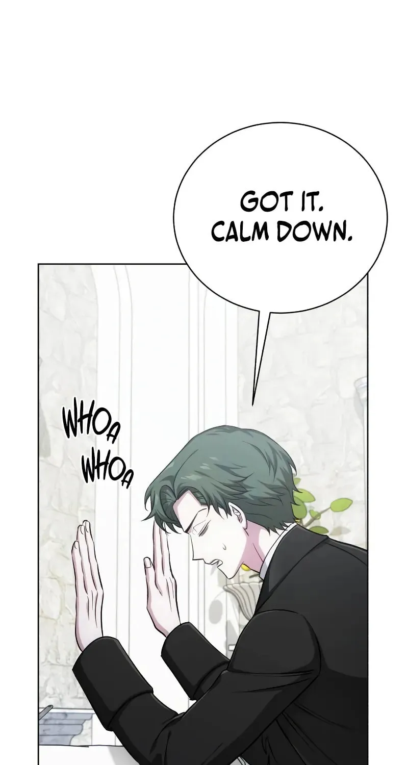 Chapter 17 — page 52