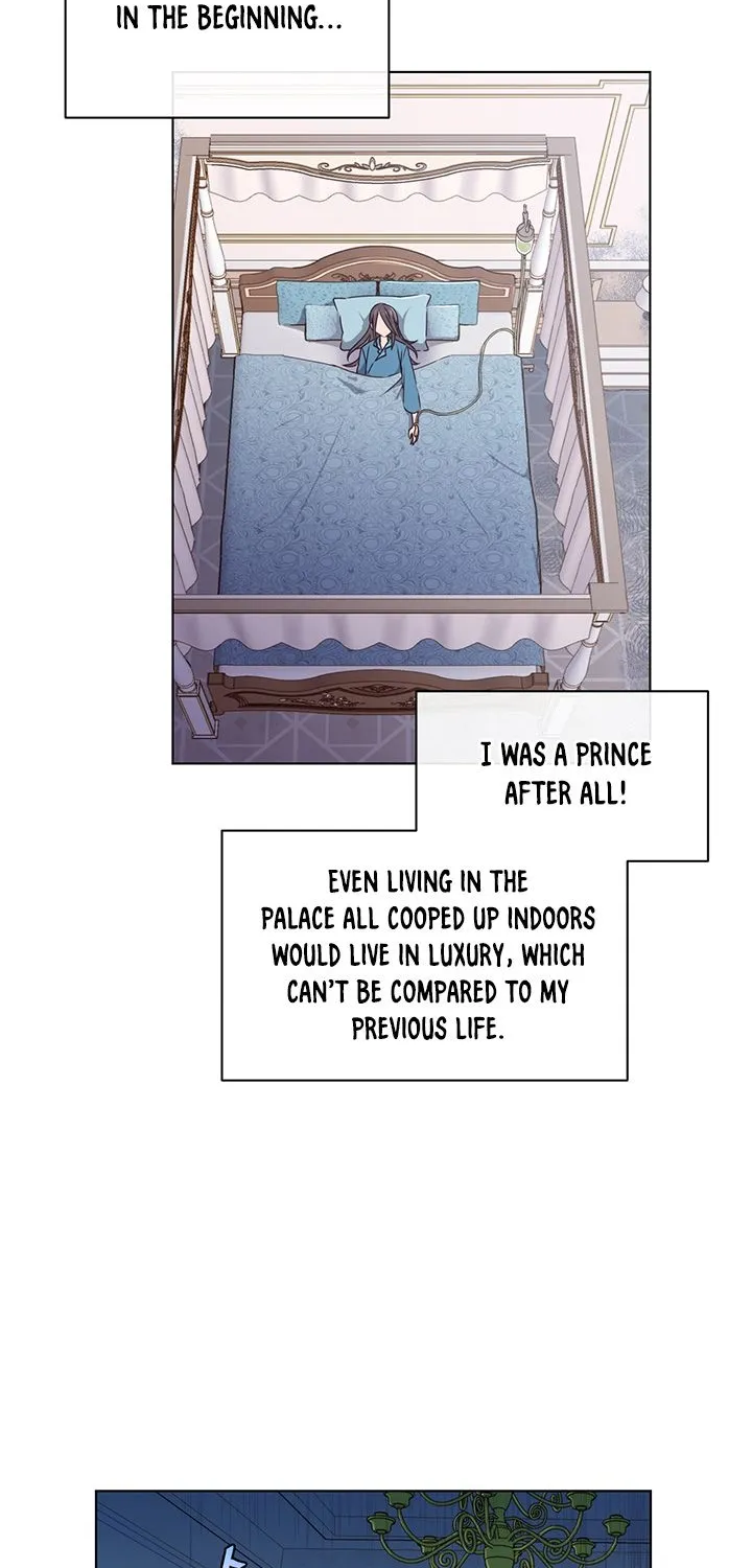 Chapter 1 — page 43