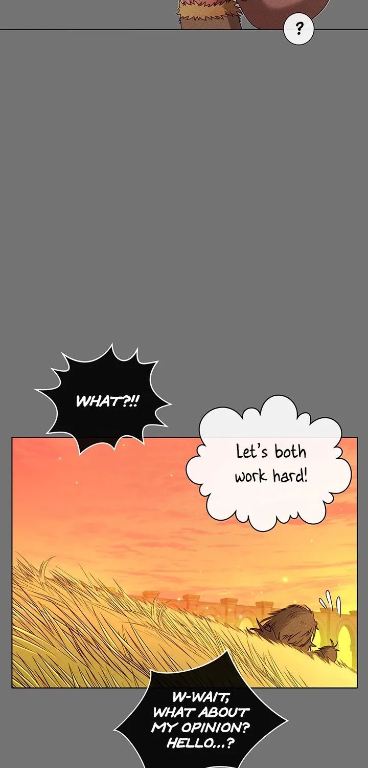 Chapter 2 — page 21