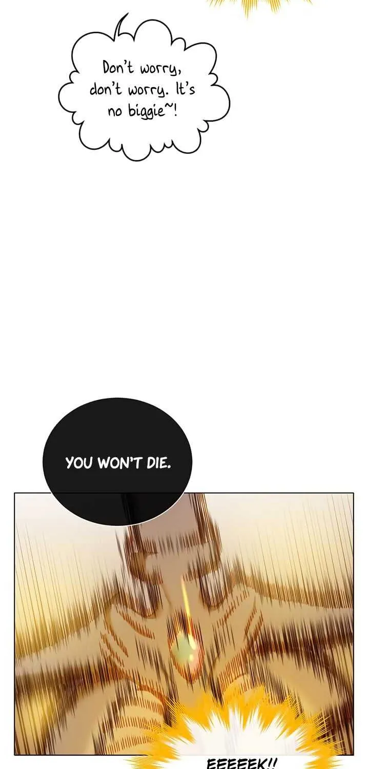 Chapter 25 — page 51