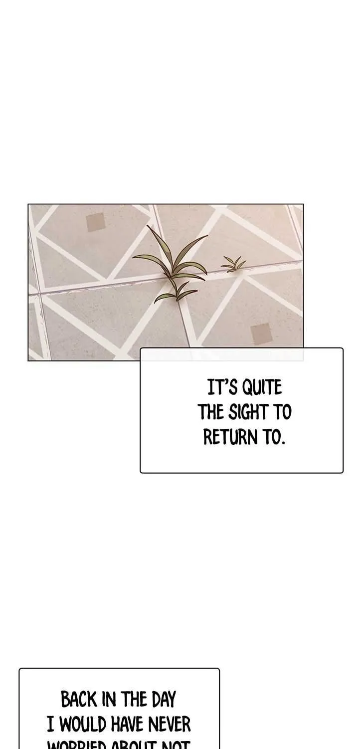 Chapter 4 — page 31