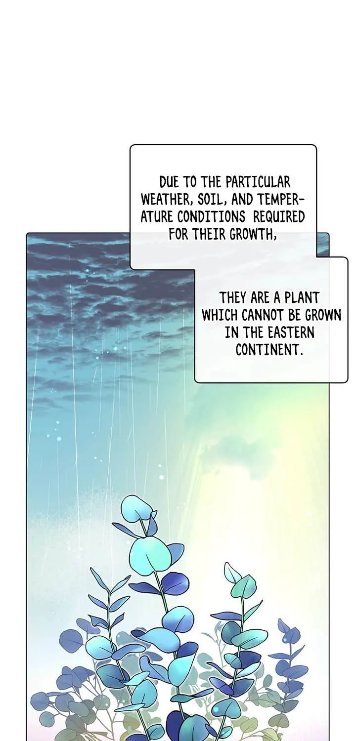 Chapter 37 — page 3