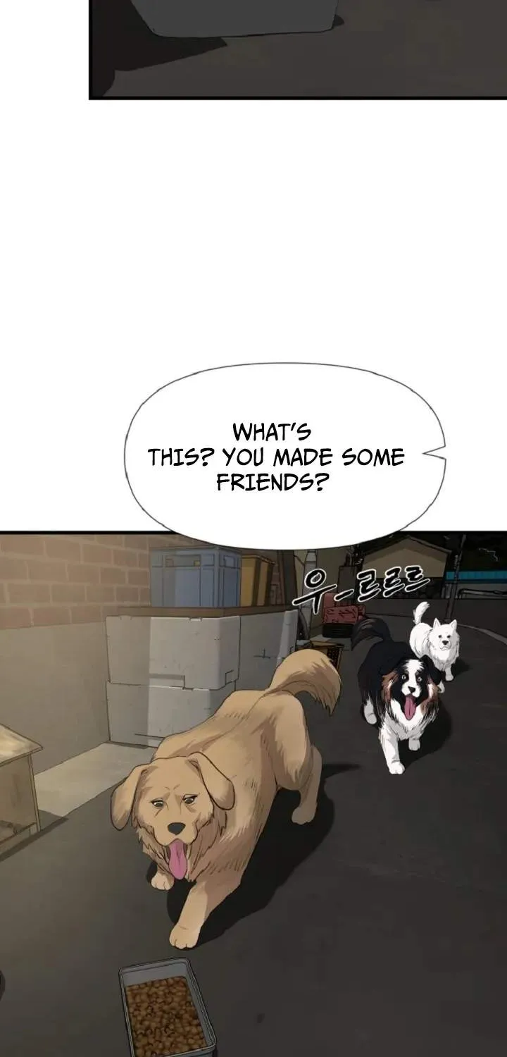 Chapter 14 — page 49