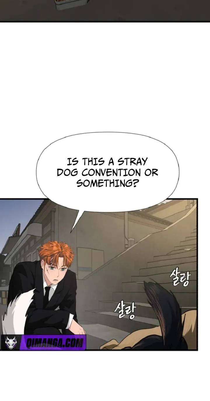 Chapter 14 — page 50