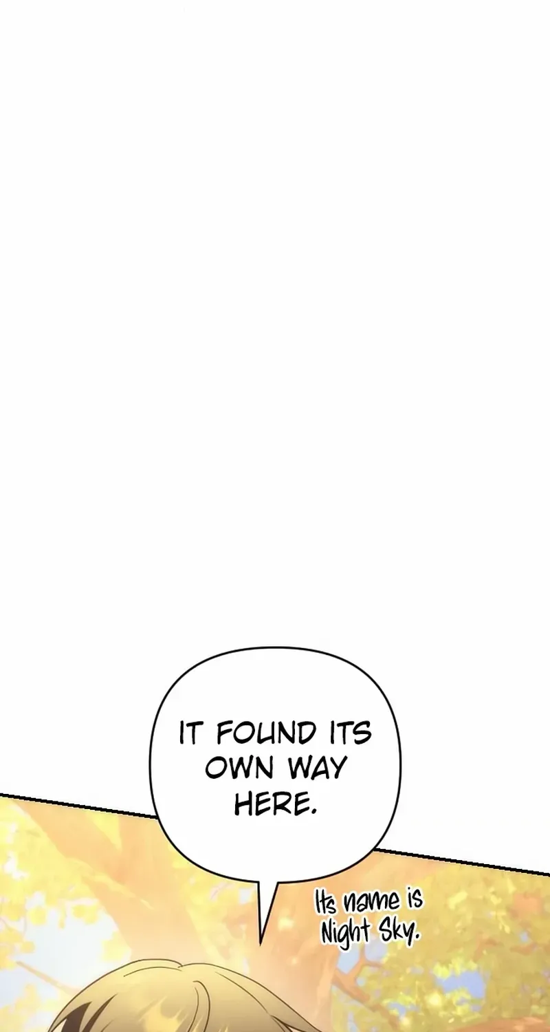 Chapter 17 — page 26