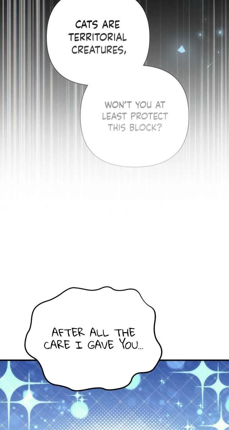 Chapter 25 — page 141