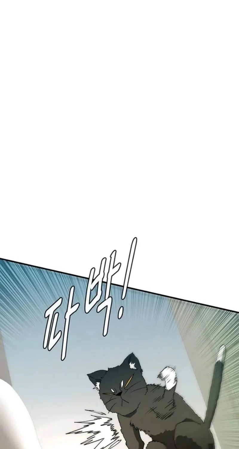 Chapter 13 — page 66