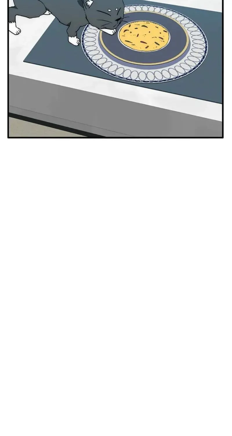 Chapter 15 — page 92