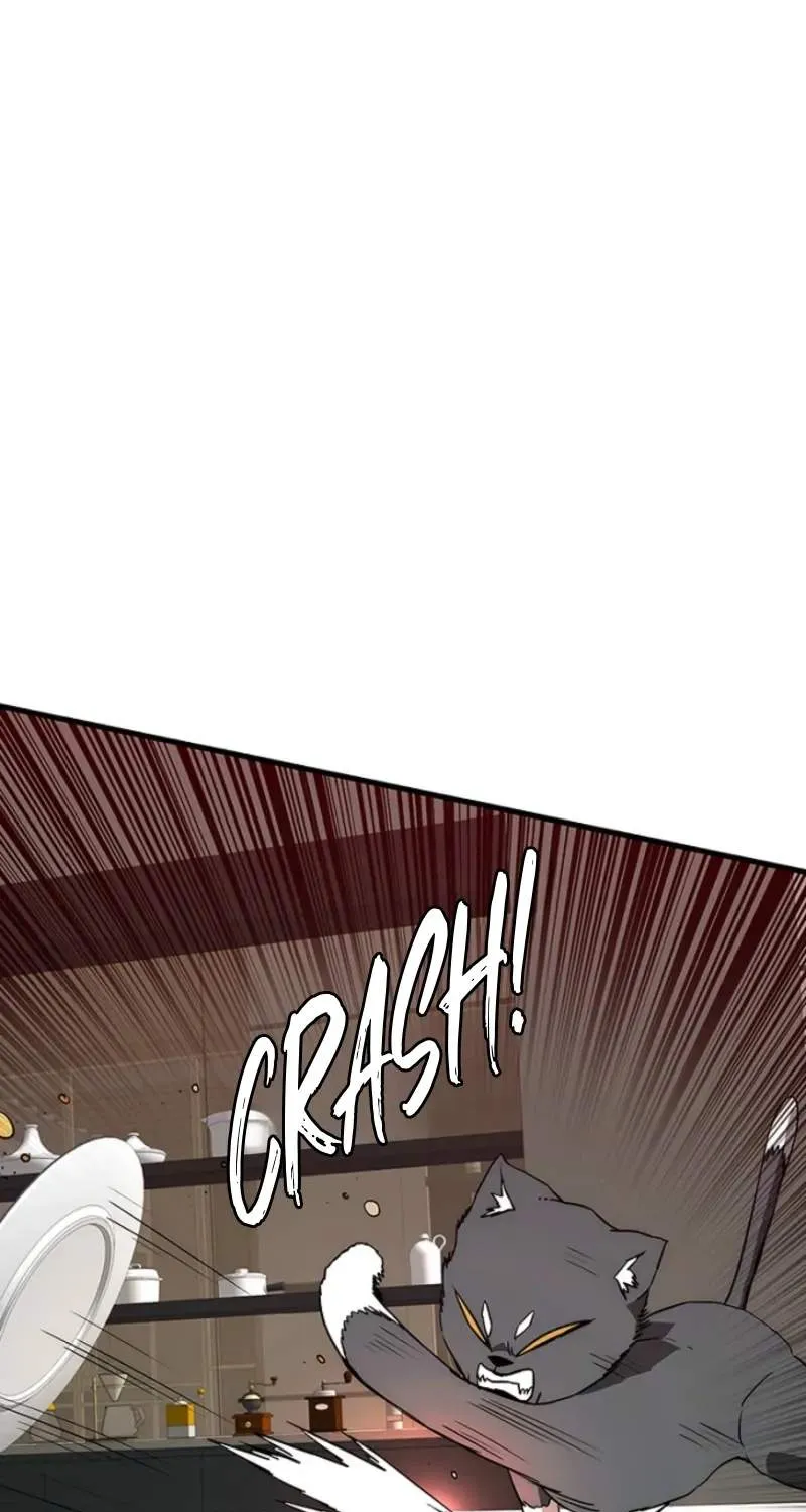 Chapter 15 — page 95