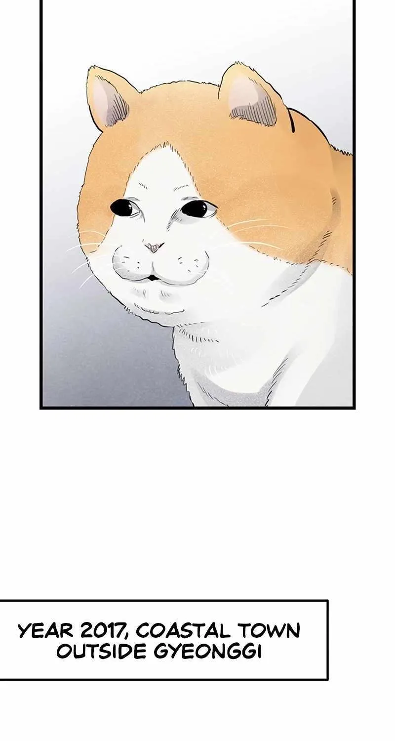 Chapter 1 — page 3
