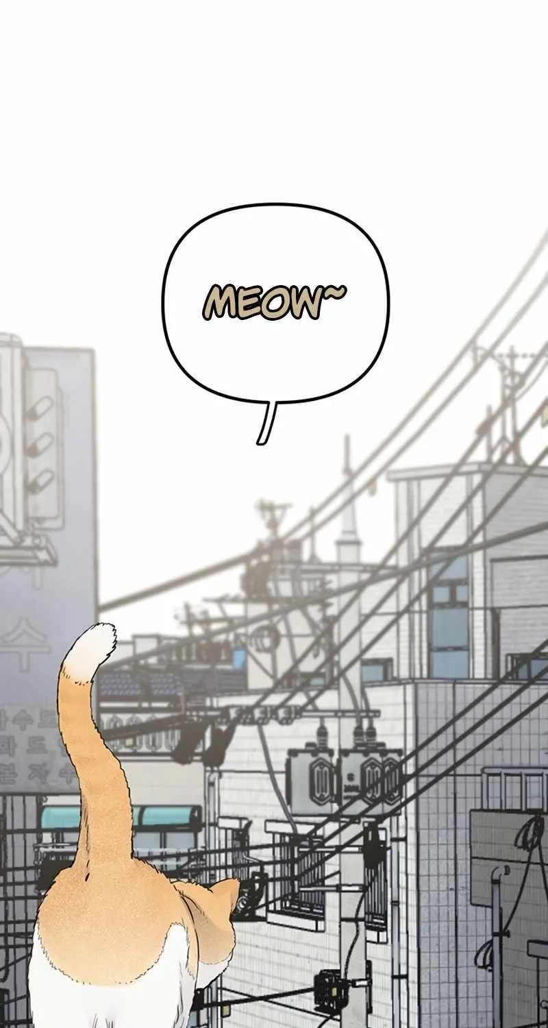 Chapter 1 — page 4