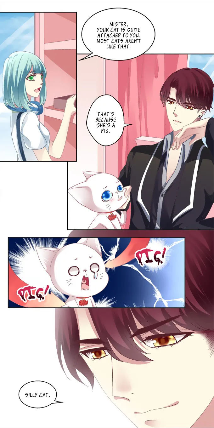 Chapter 2 — page 4