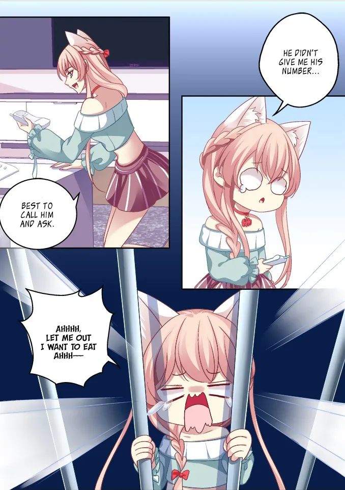 Chapter 5 — page 11