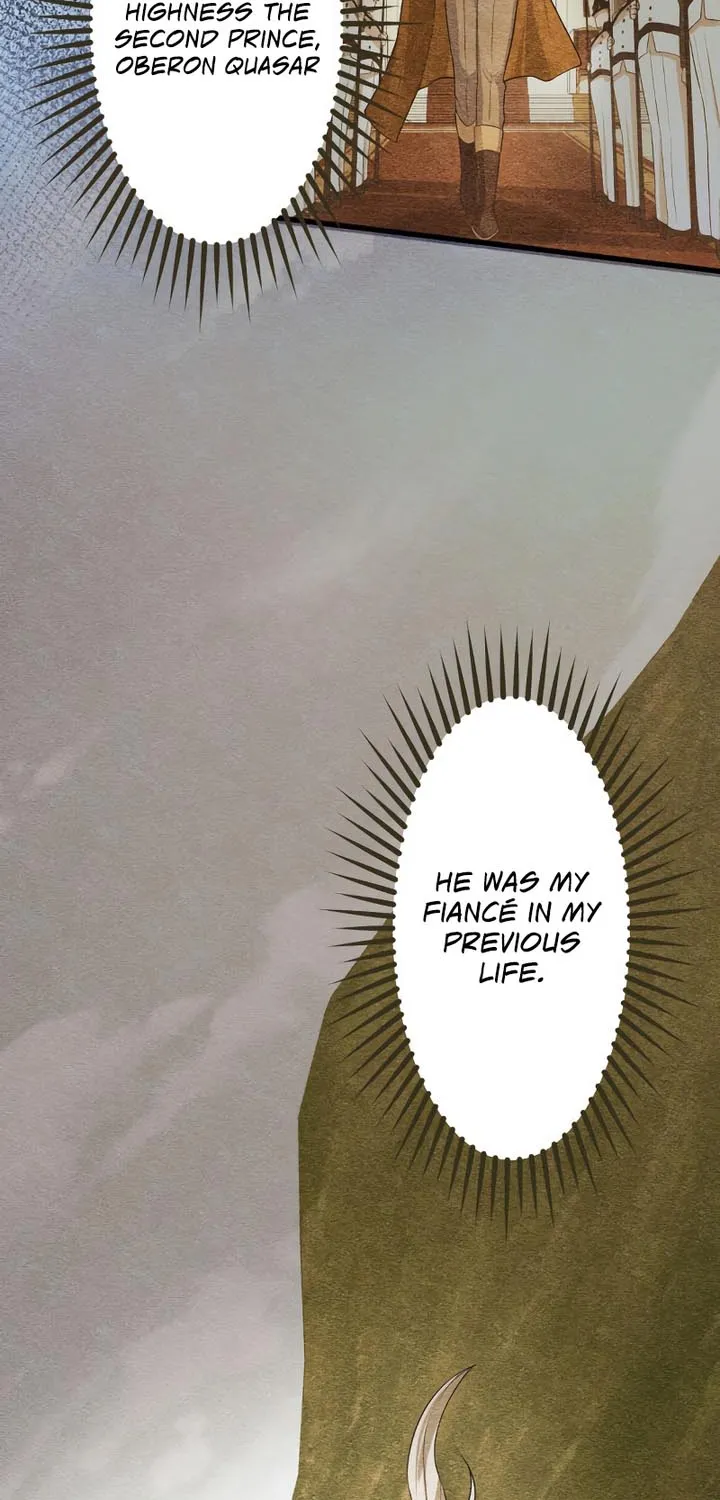 Chapter 2 — page 115