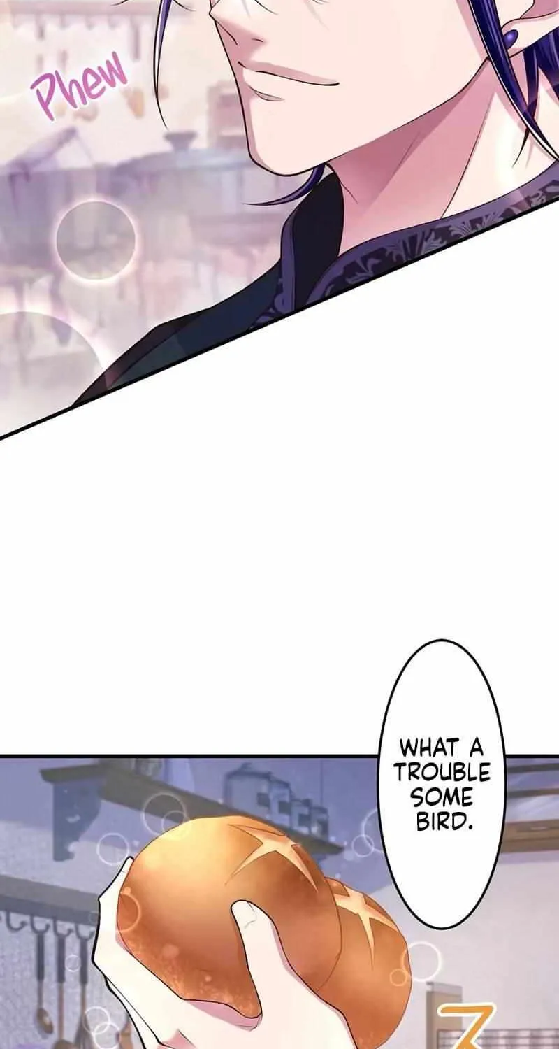 Chapter 17 — page 74