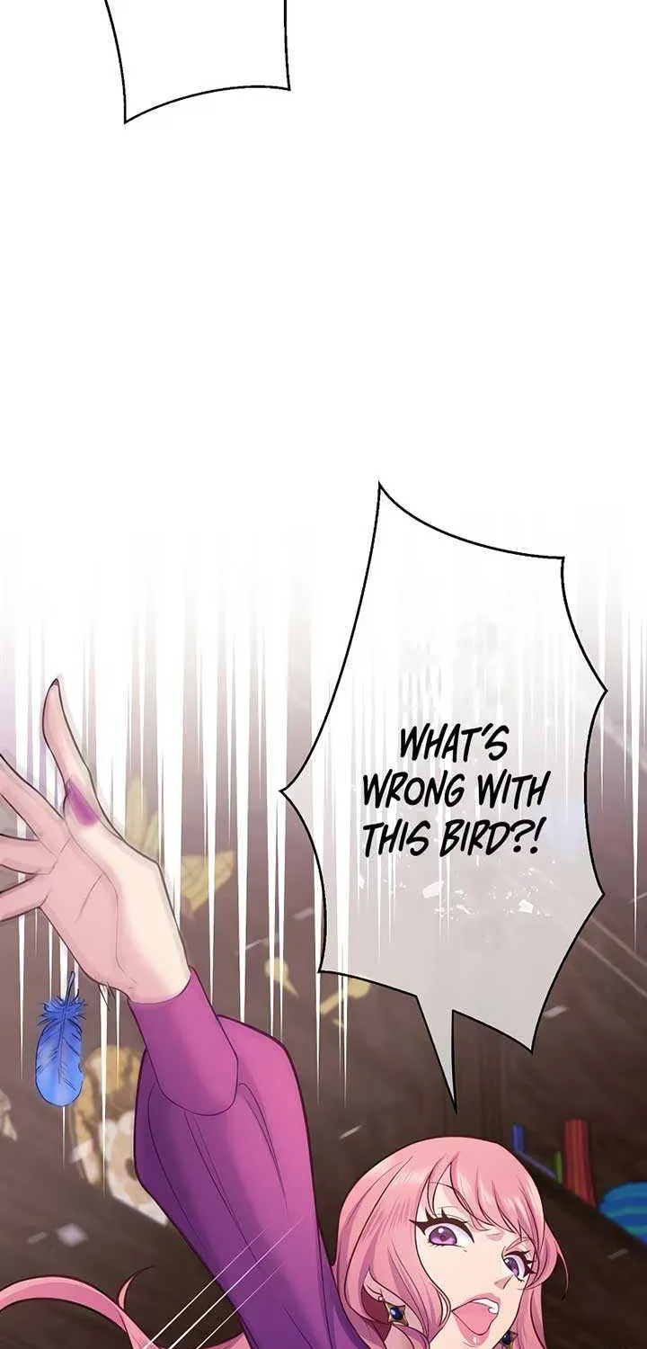 Chapter 21 — page 67