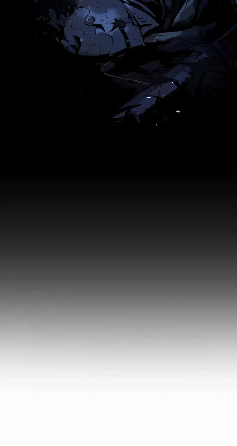 Chapter 2.1 — page 115