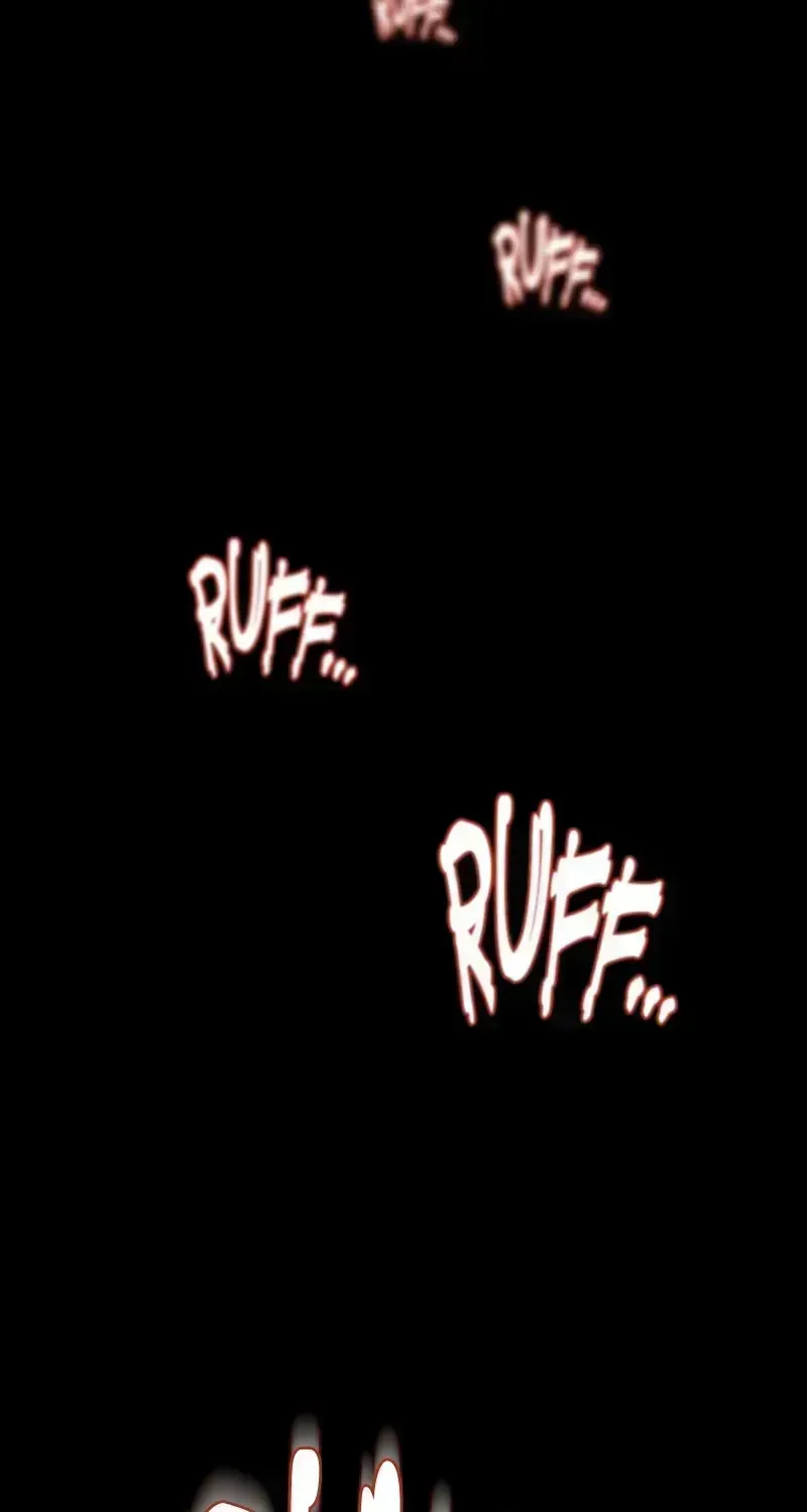 Chapter 2.4 — page 97