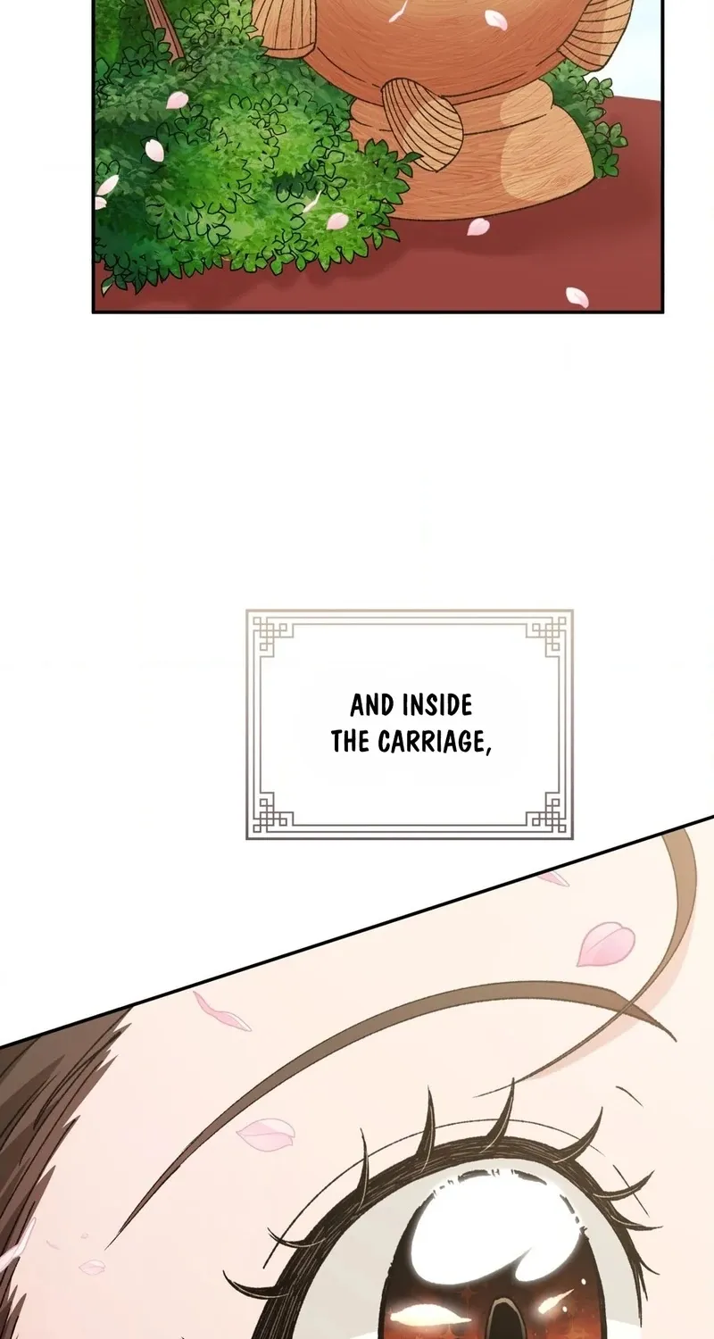 Chapter 1 — page 19
