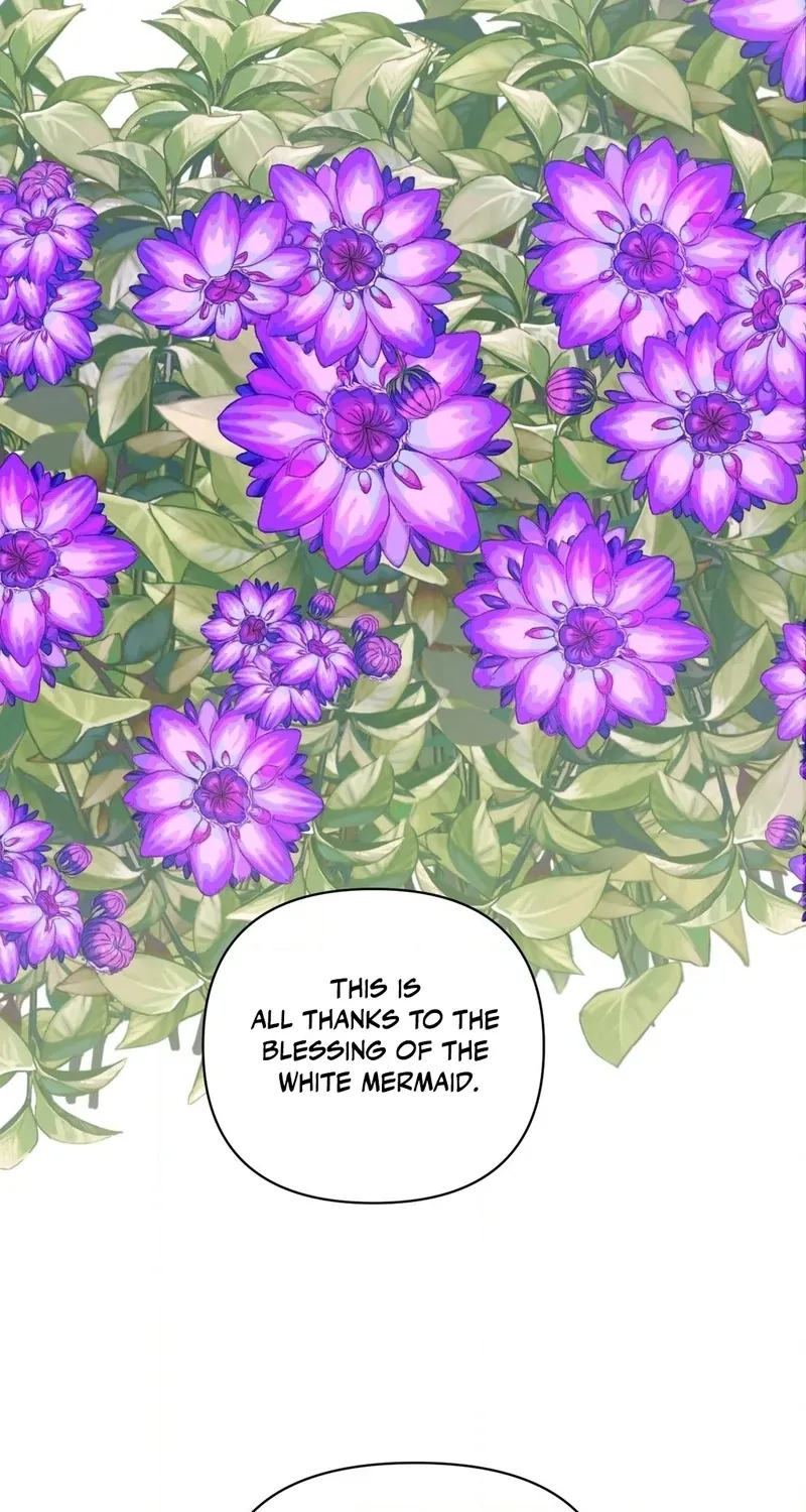Chapter 1 — page 29