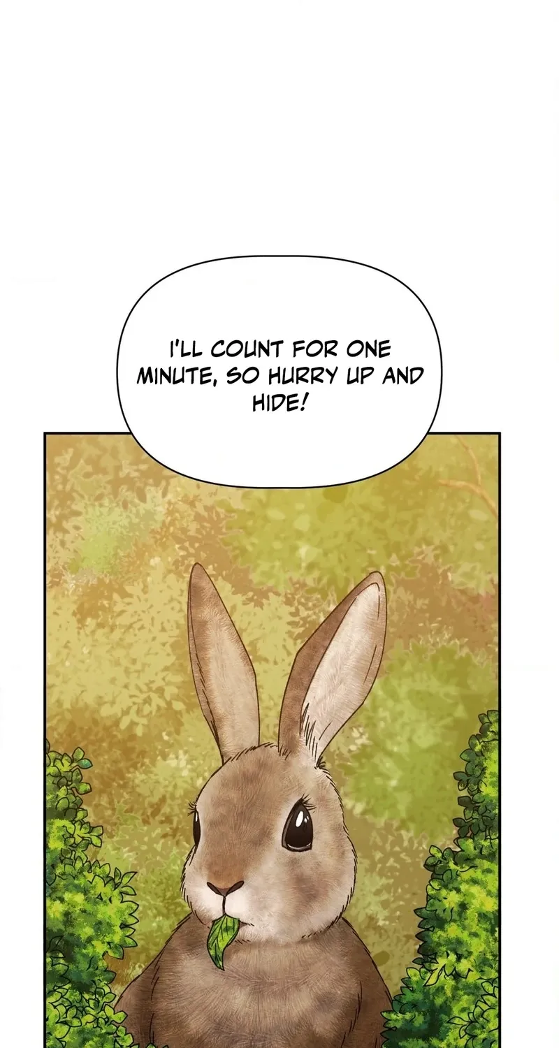 Chapter 1 — page 51