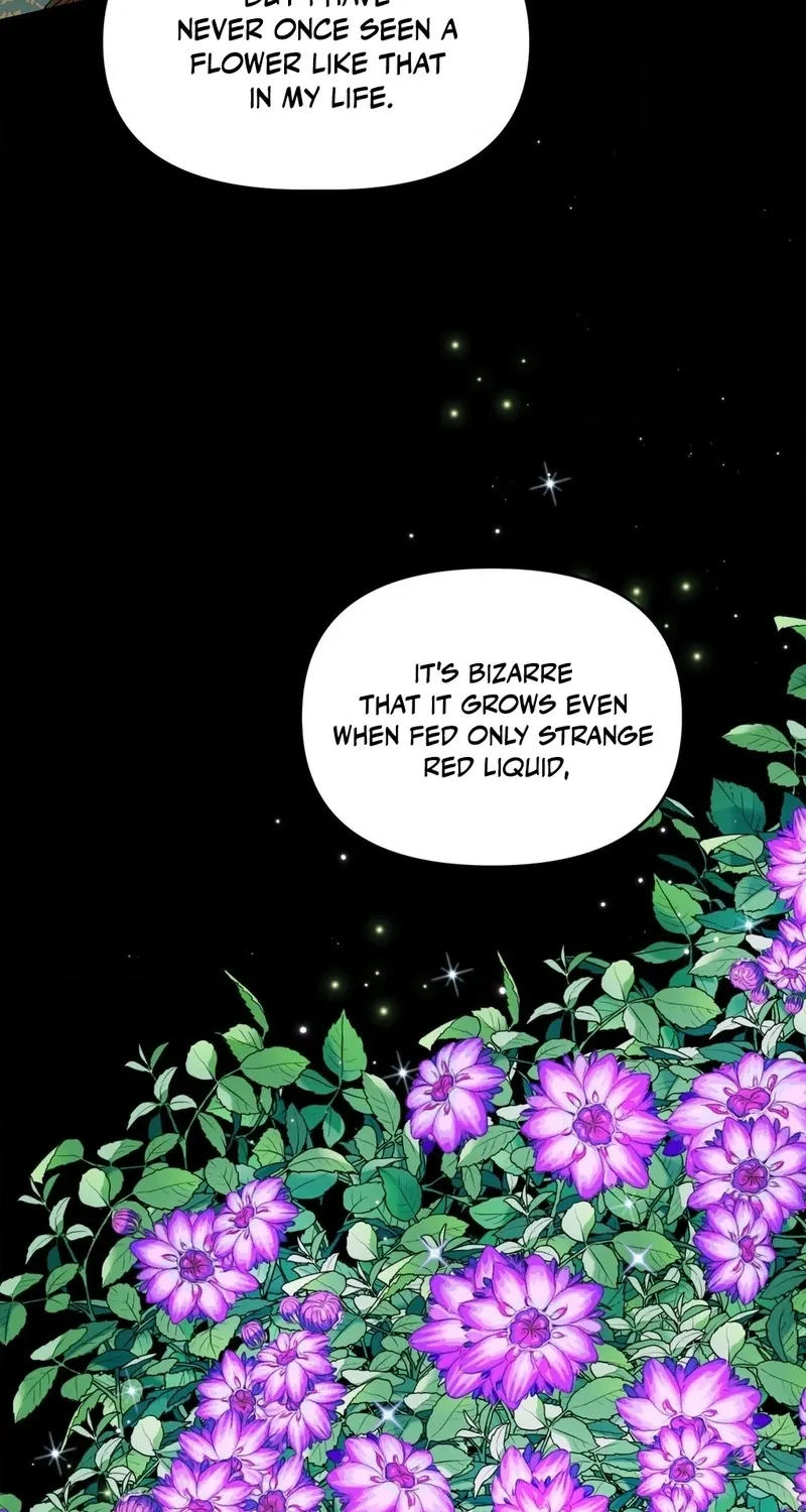 Chapter 2 — page 53