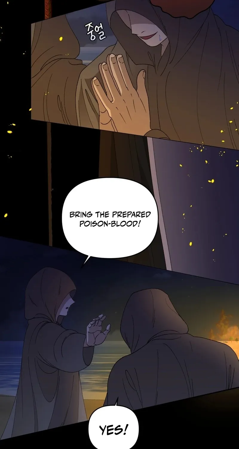 Chapter 2 — page 62