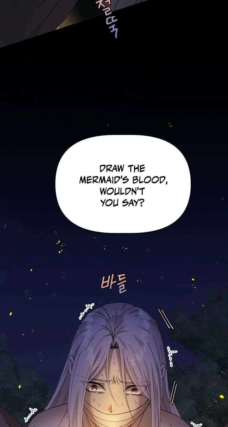 Chapter 2 — page 67