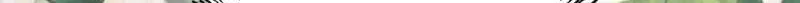 Chapter 19 — page 16