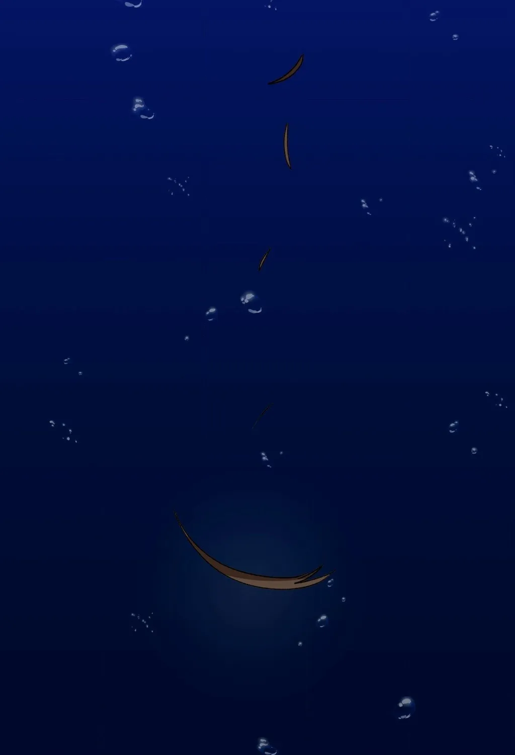 Chapter 5 — page 81