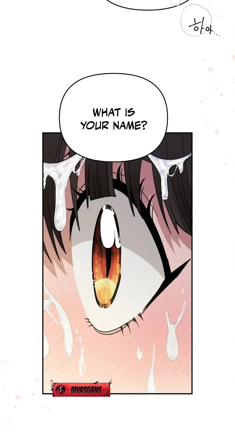 Chapter 8 — page 49