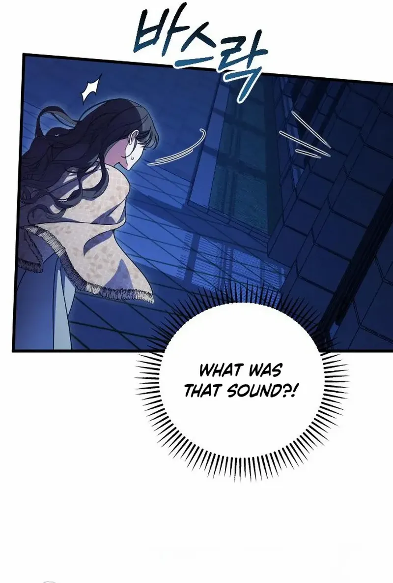 Chapter 24 — page 79