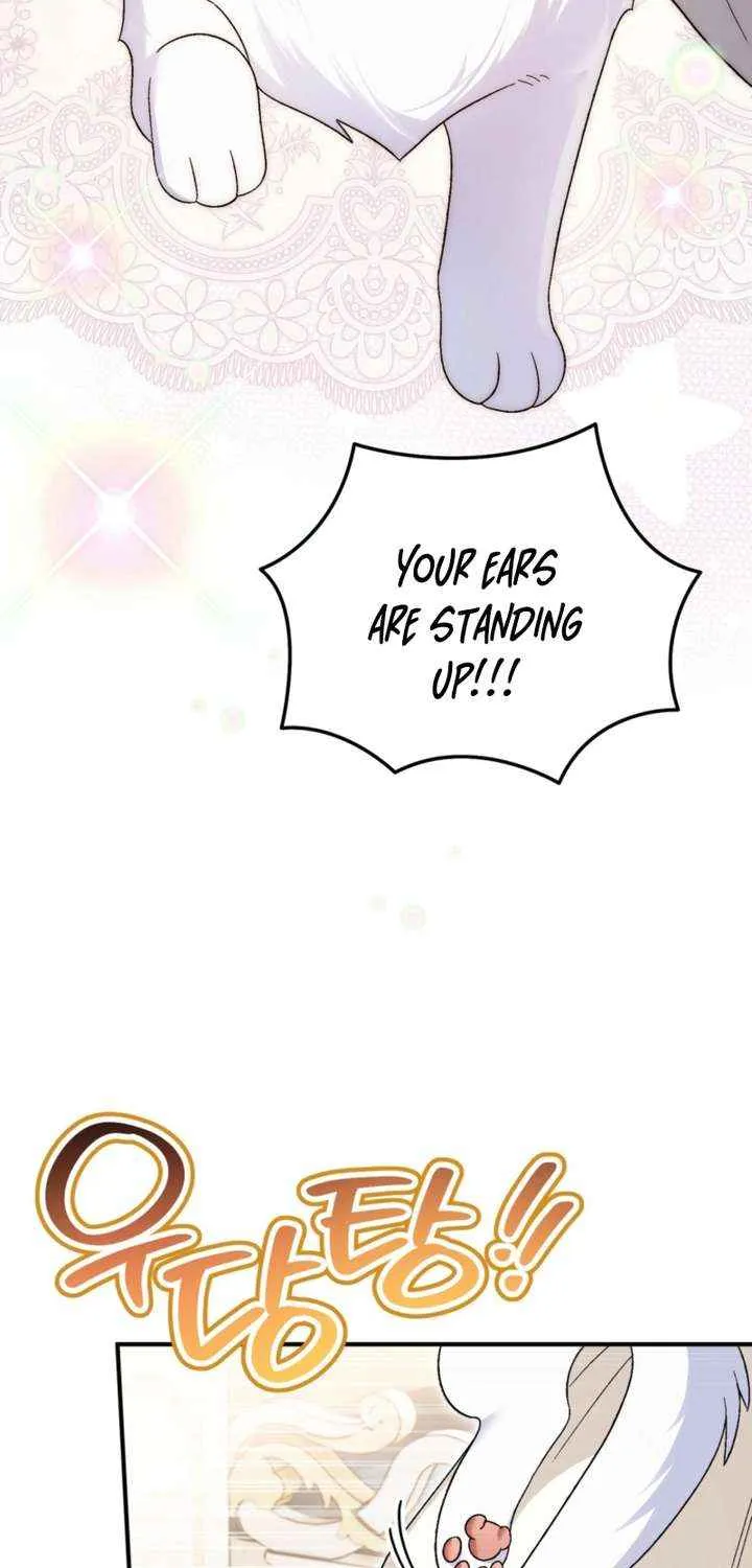 Chapter 14 — page 37