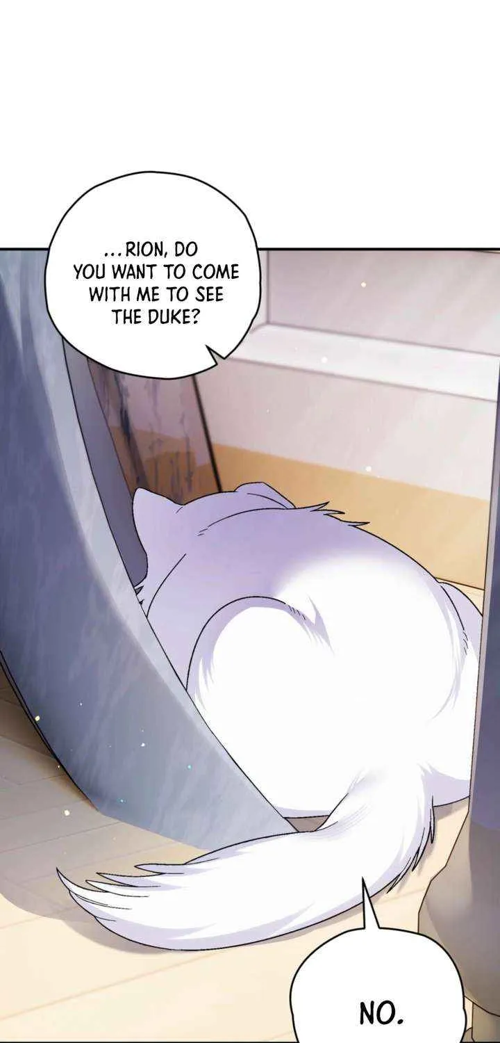 Chapter 14 — page 84