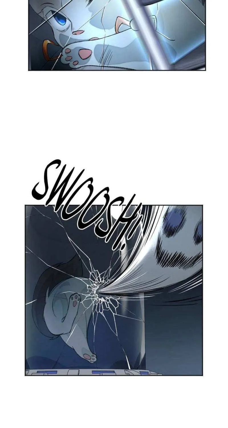 Chapter 8 — page 37