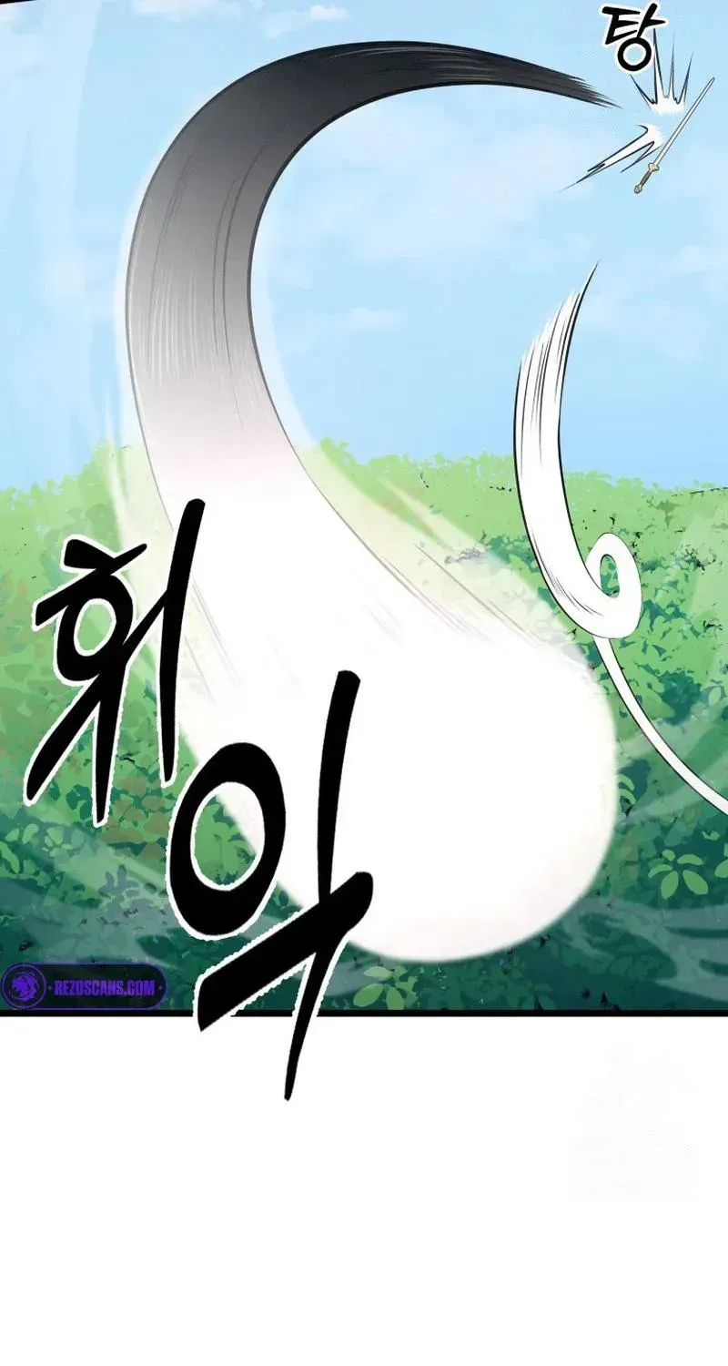Chapter 17 — page 68