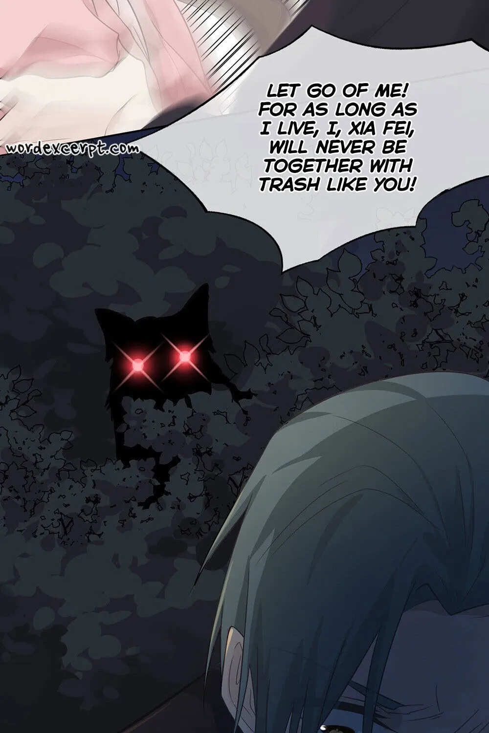 Chapter 4 — page 51