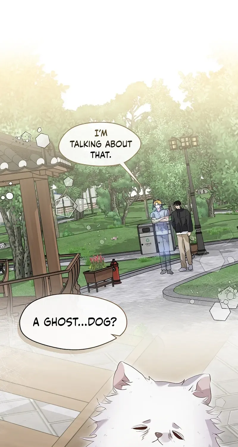 Chapter 126 — page 19