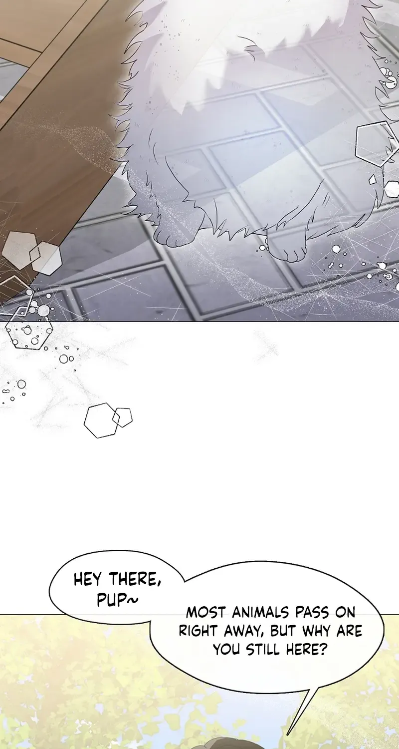 Chapter 126 — page 20