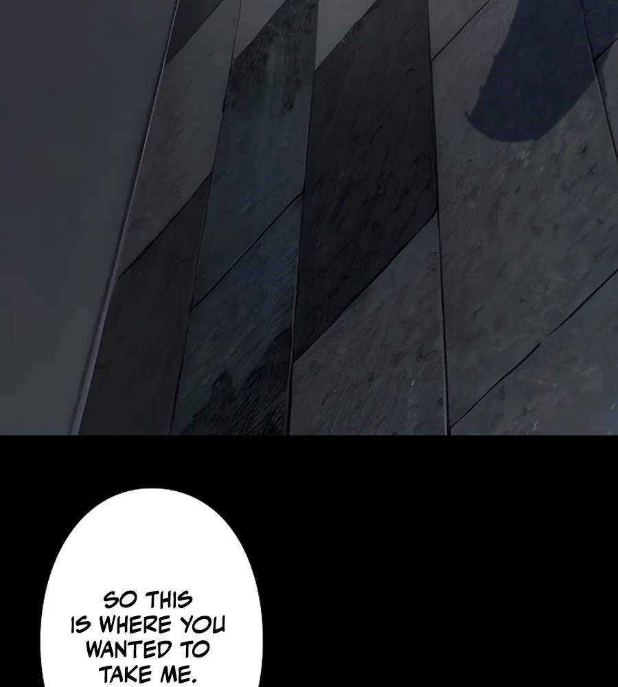 Chapter 2 — page 101