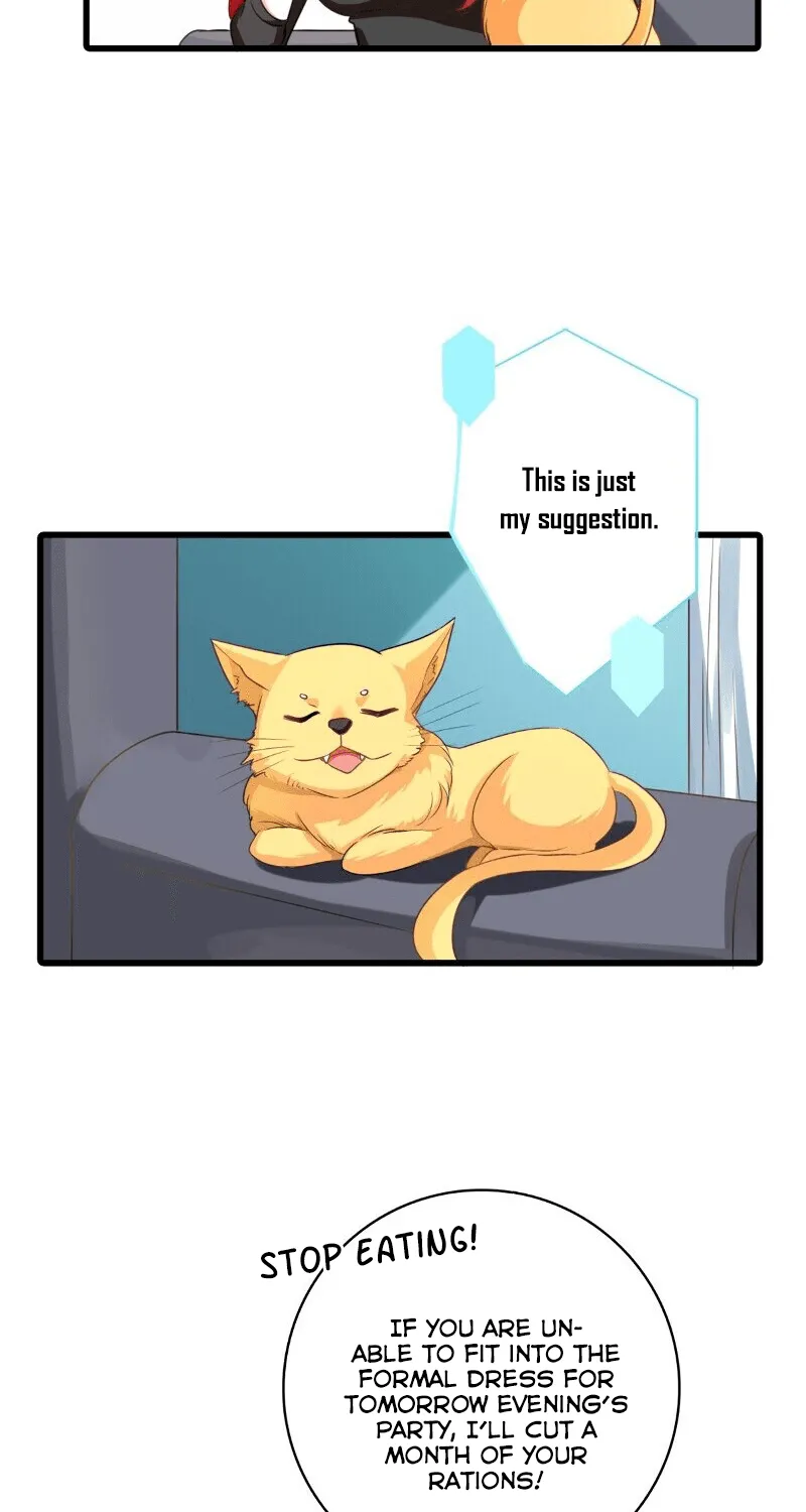 Chapter 4 — page 31