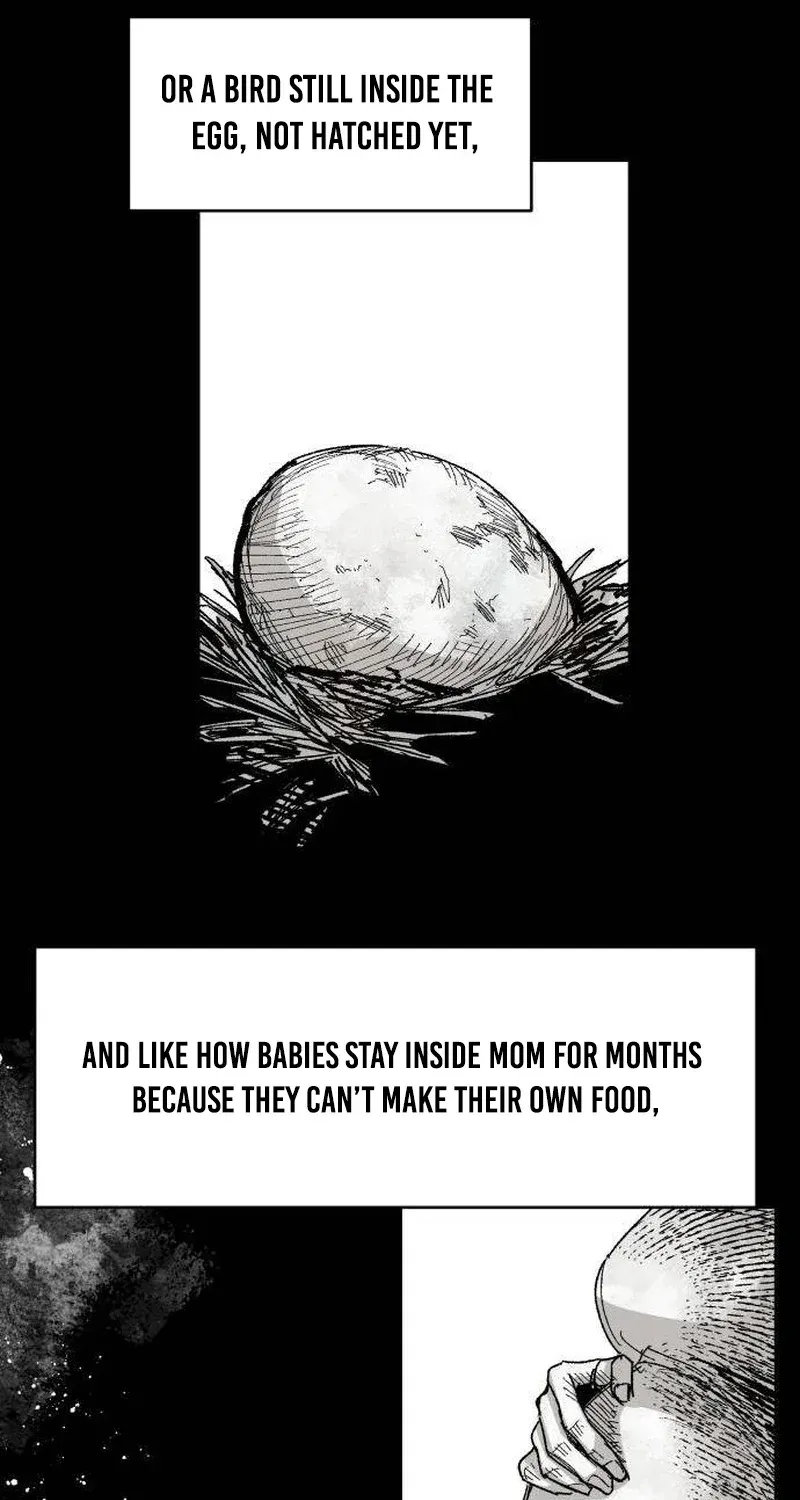 Chapter 7 — page 48