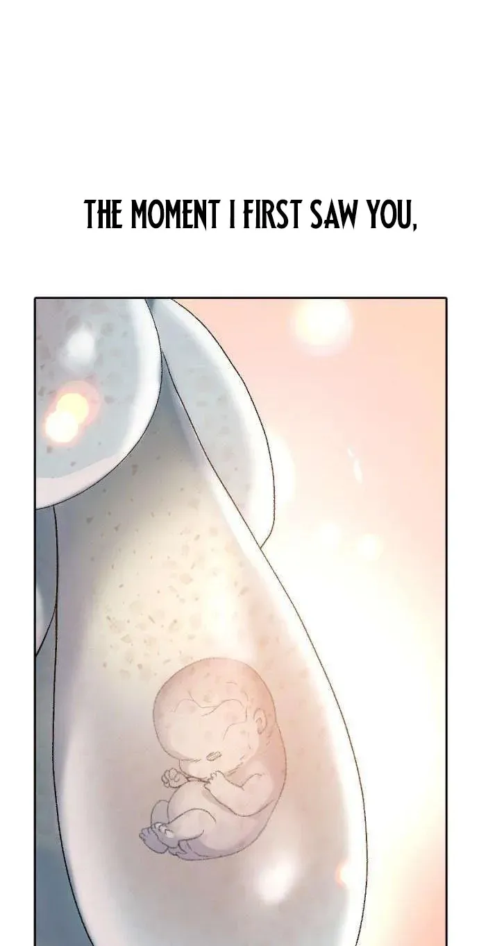 Chapter 2 — page 35