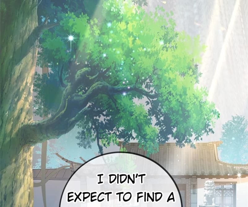 When the Dragon King Falls for the Loli Alchemist - Episode 9 — page 14