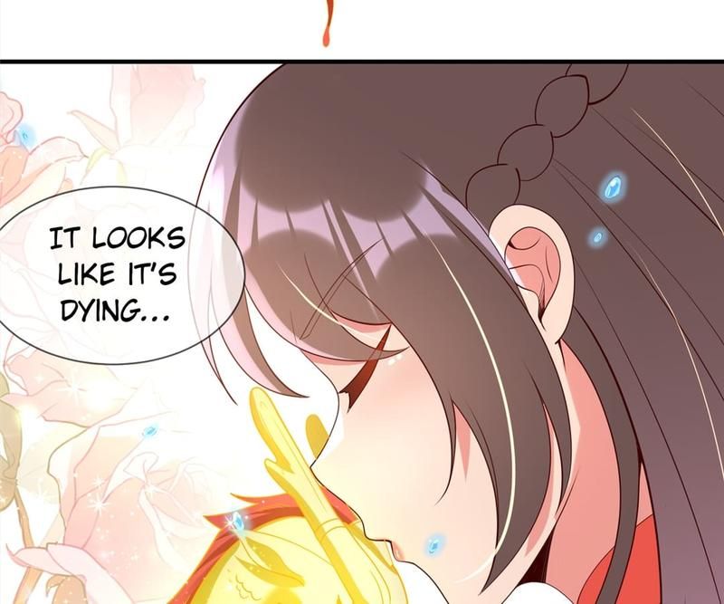 When the Dragon King Falls for the Loli Alchemist - Episode 95 — page 25