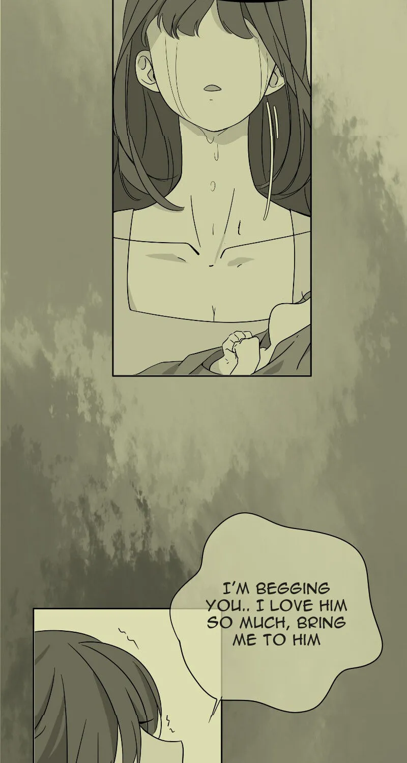 Chapter 2 — page 14